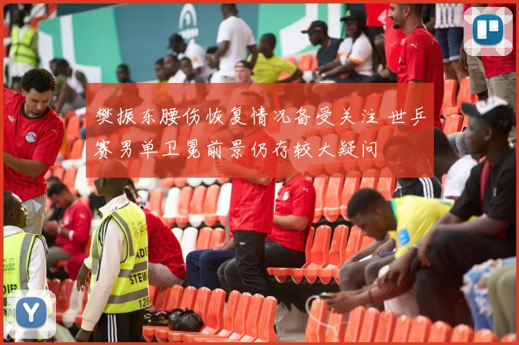 樊振东腰伤恢复情况备受关注 世乒赛男单卫冕前景仍存较大疑问