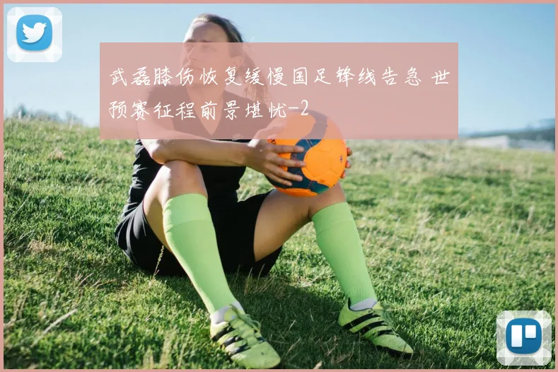 武磊膝伤恢复缓慢国足锋线告急 世预赛征程前景堪忧