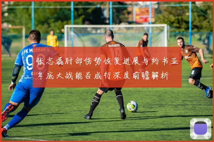 张志磊肘部伤势恢复进展与约书亚年底大战能否成行深度前瞻解析