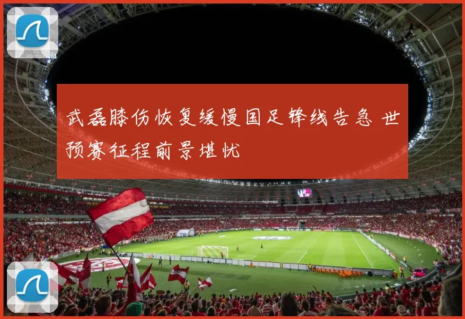 武磊膝伤恢复缓慢国足锋线告急 世预赛征程前景堪忧