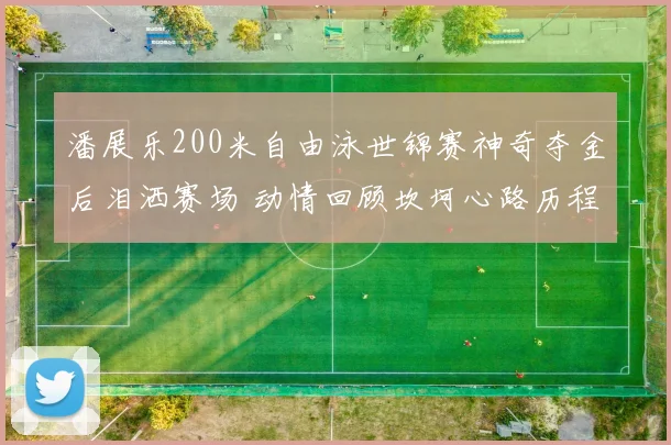 潘展乐200米自由泳世锦赛神奇夺金后泪洒赛场 动情回顾坎坷心路历程