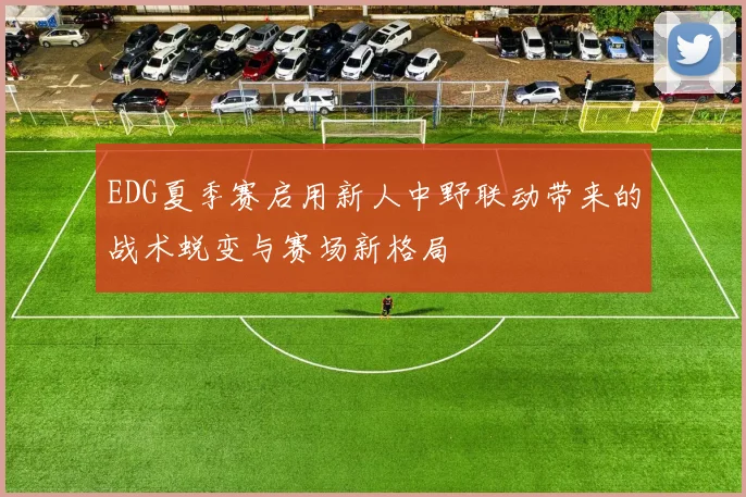EDG夏季赛启用新人中野联动带来的战术蜕变与赛场新格局